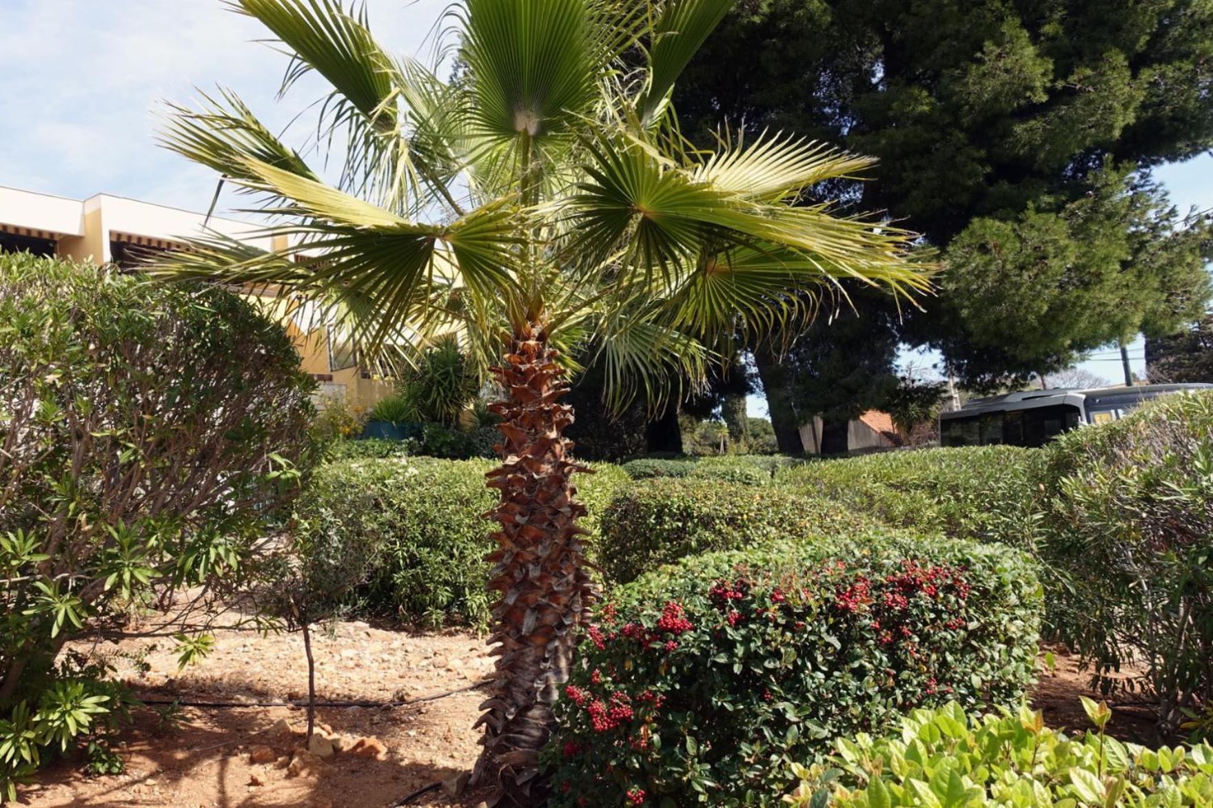 Les Jardins De Bandol, Piscine Privee, Belle Vue Mer Luaran gambar