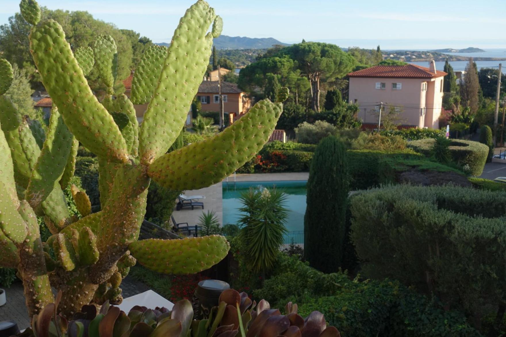 Les Jardins De Bandol, Piscine Privee, Belle Vue Mer Luaran gambar